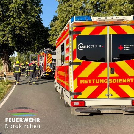Pkw gegen Baum