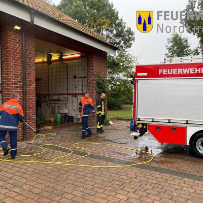 Fahrzeugreinigung